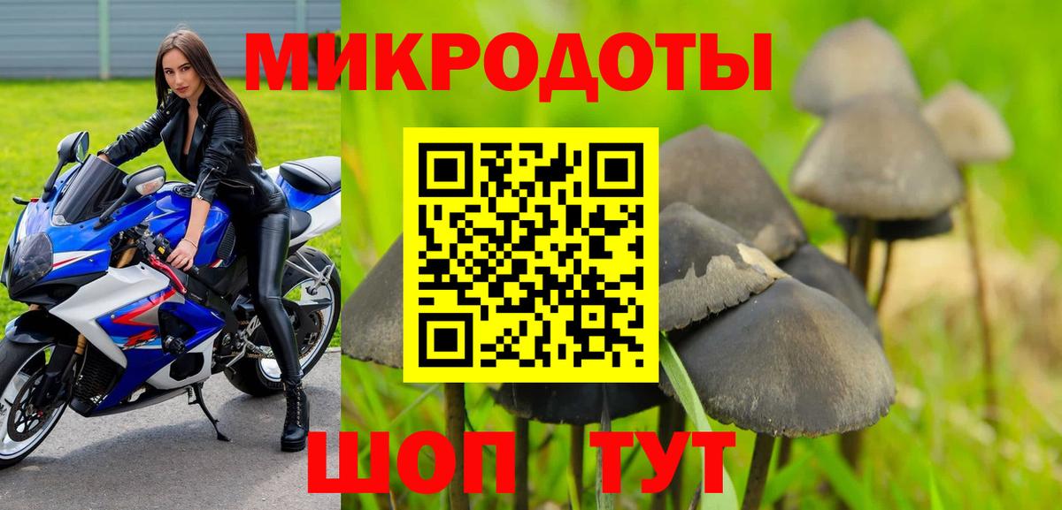как найти   Псилоцибиновые грибы Cubensis  Вход с VPN  Сухой Лог 